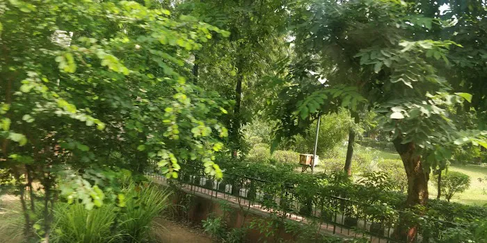 Herbal Garden - 7