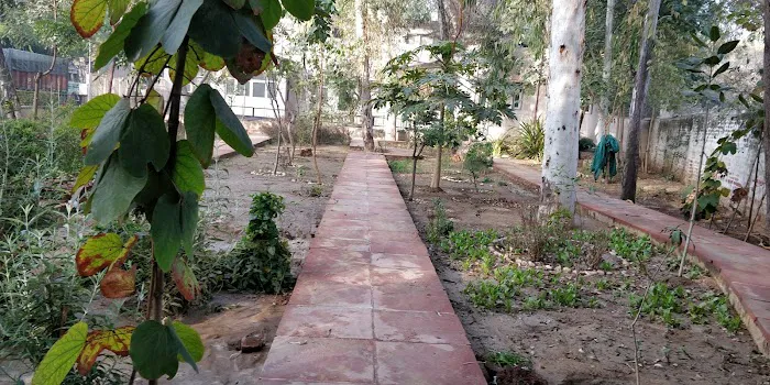 Herbal Garden - 8