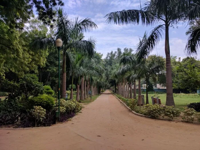 Rose Garden - 2