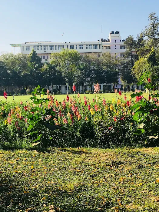 Rose Garden - 4