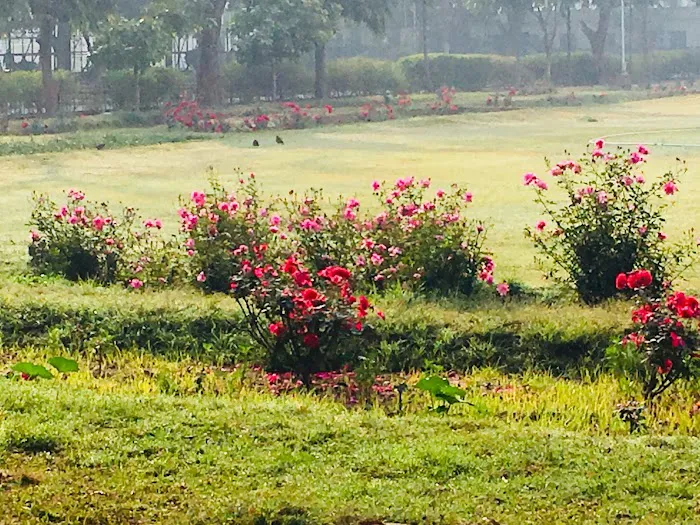 Rose Garden - 1
