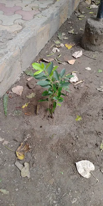 Mahila Park - 7