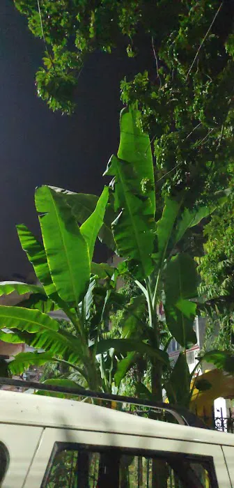 Danveer Bhamashah Park - 5