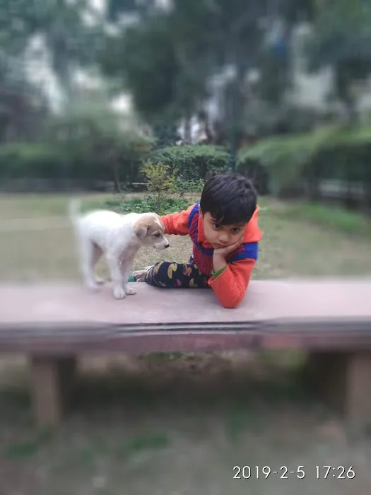 MCD PARK - 5