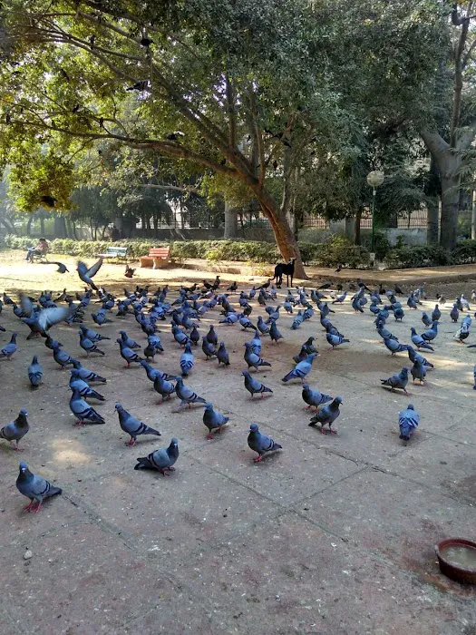 Madhuban Park - 2