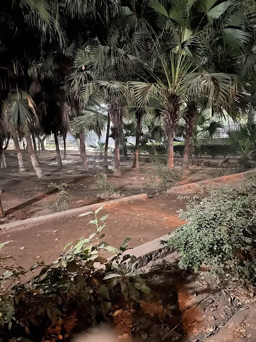 Madhuban Park - 4