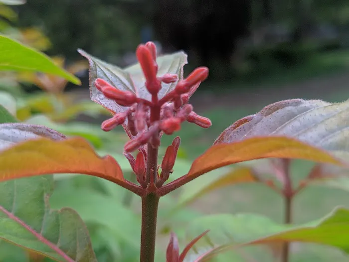 Madhuban Park - 8