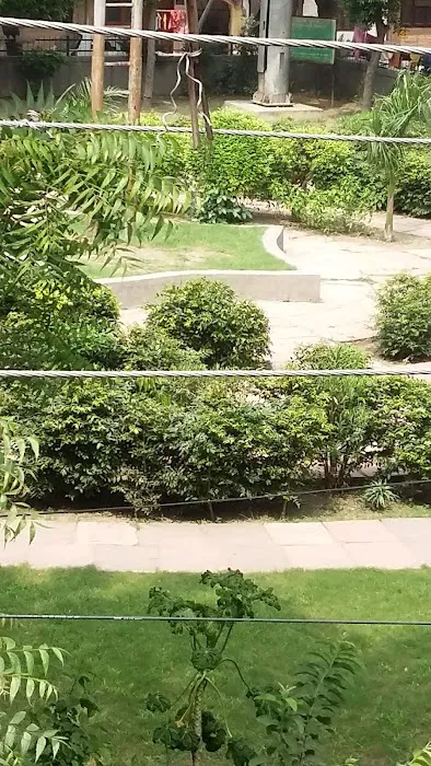 Park - 3
