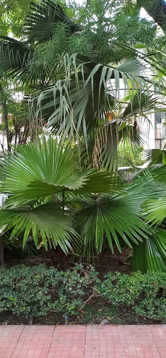 Kadambri Park - 3