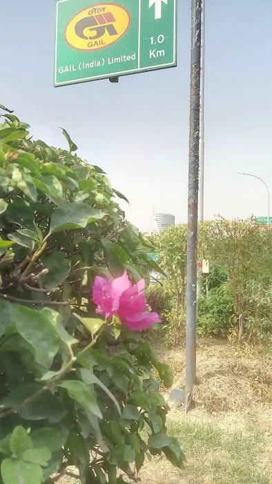 Kadambri Park - 9