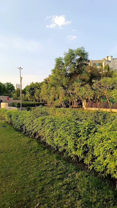 PARK SECTOR-1 Noida - 9