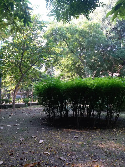 B Block Park - 1