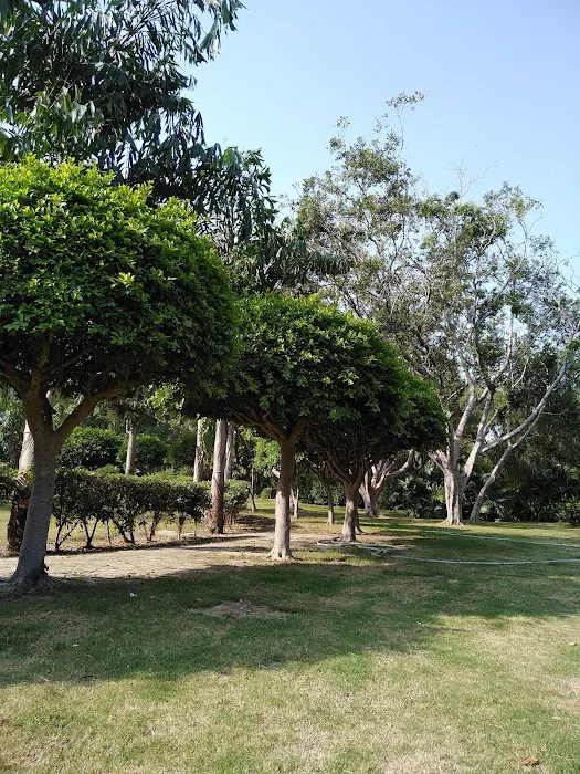 D- BLOCK PARK - 4