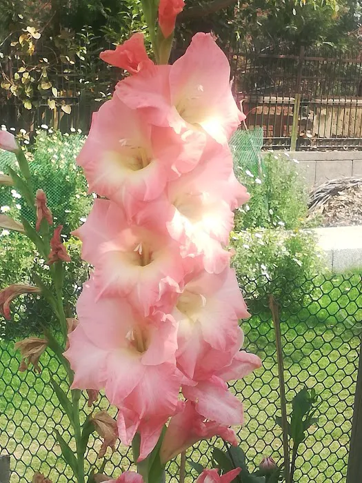 Nirman Vihar Park - 4