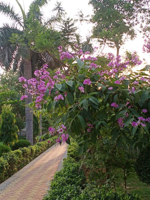 Nirman Vihar Park - 8