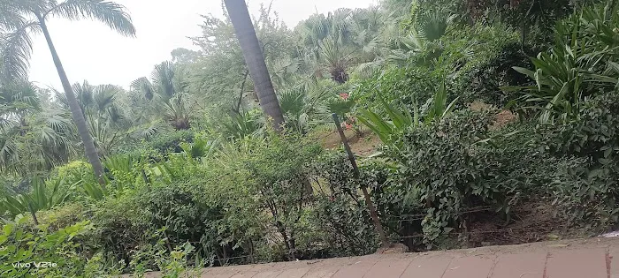 Krishna Jayanti Park - 5