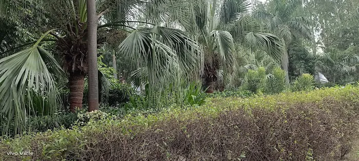 Krishna Jayanti Park - 8