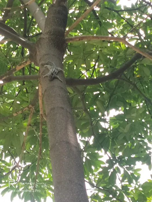 Tikona Park - 2