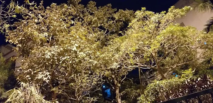 Tikona Park - 9