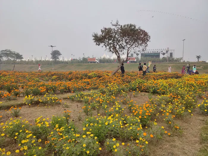 Floral Terrace - 6