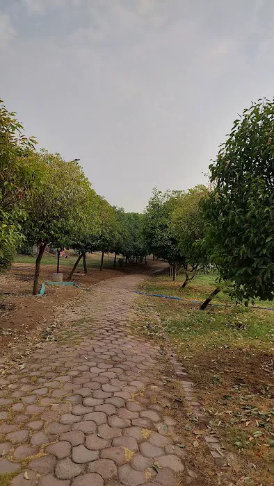 Indraprastha Walking area - 1