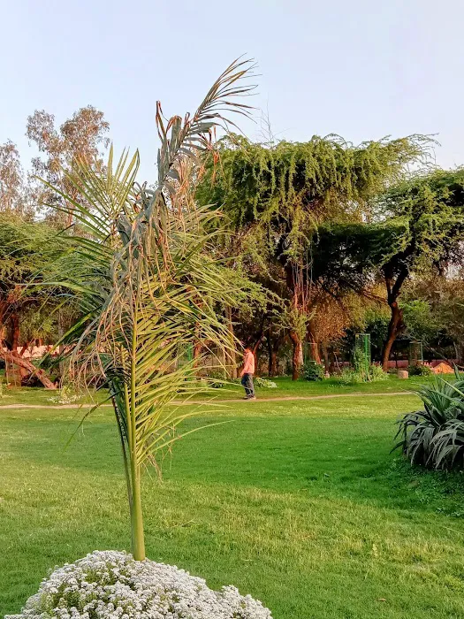 Lala Lajpat Rai Memorial Park - 5