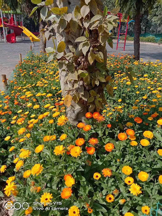 Lala Lajpat Rai Memorial Park - 9