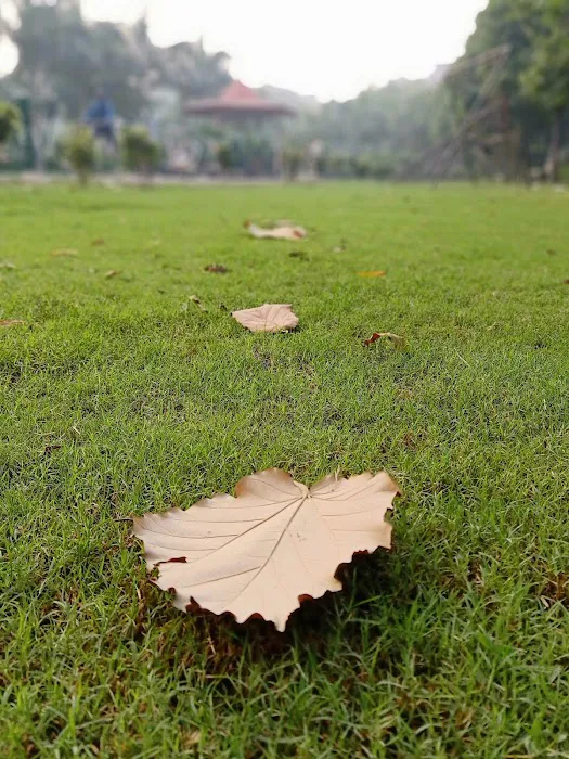 Mother Dairy Park - 4