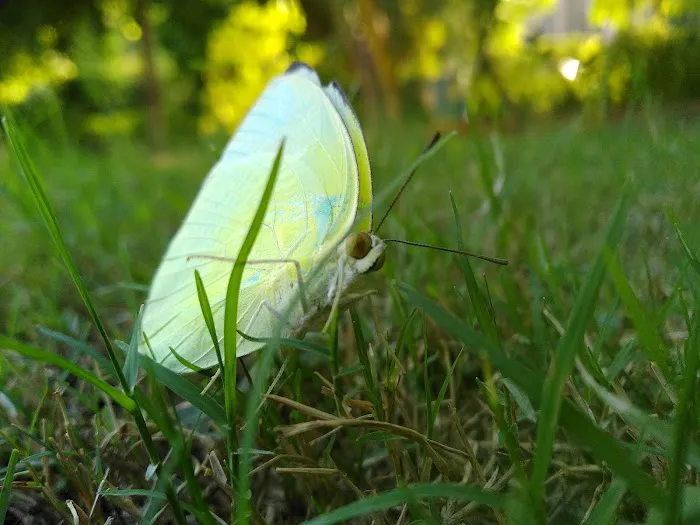 Mother Dairy Park - 7