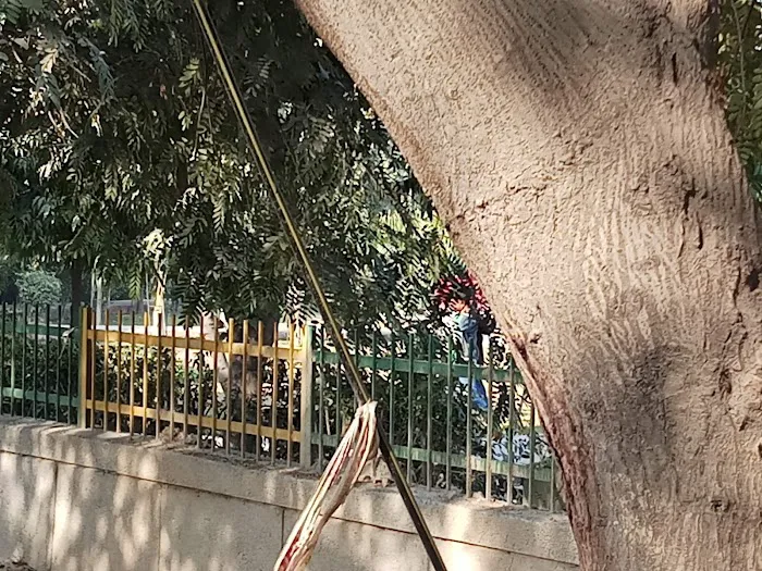 Mother Dairy Park - 9