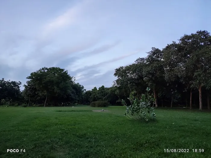Forest Land - 3