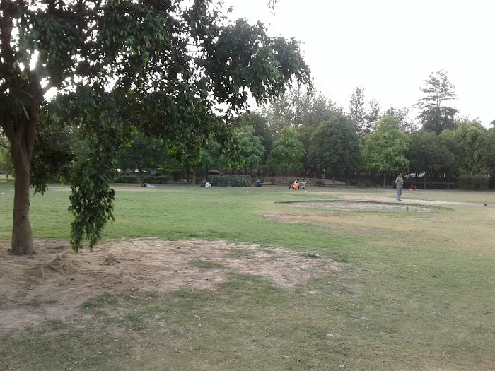 Forest Land - 4