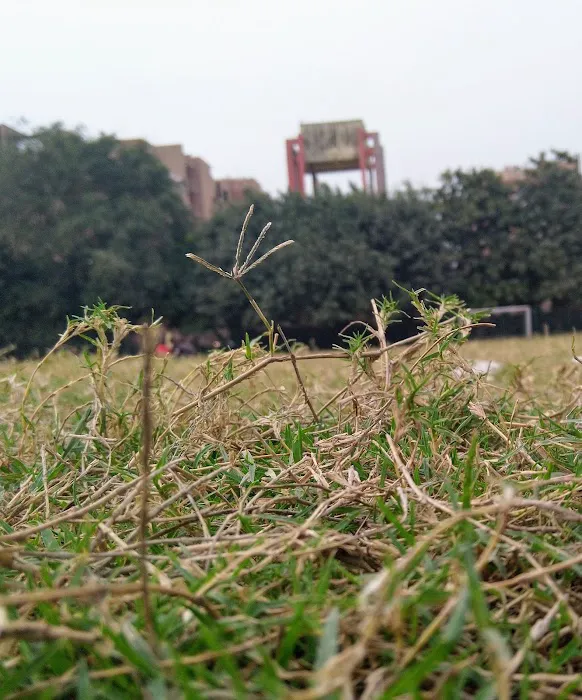 Central Park Vasundhara Enclave - 8