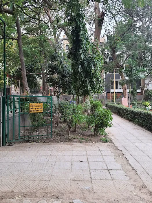 Soni Park - 2