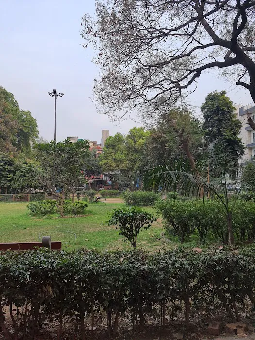 Soni Park - 0