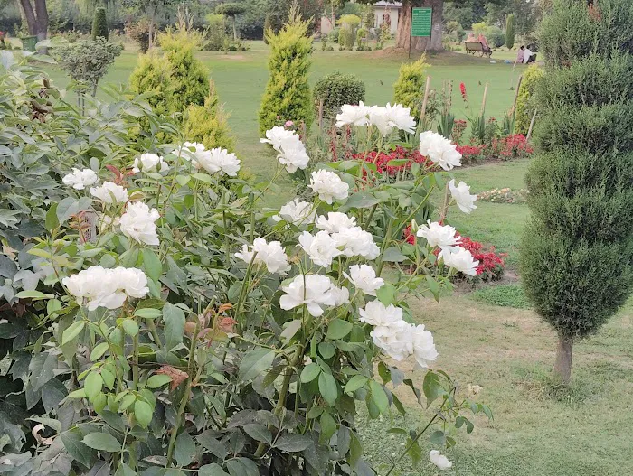 Mughal Garden - 7