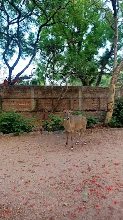 Sanjay Van - Gate number 5 - 1