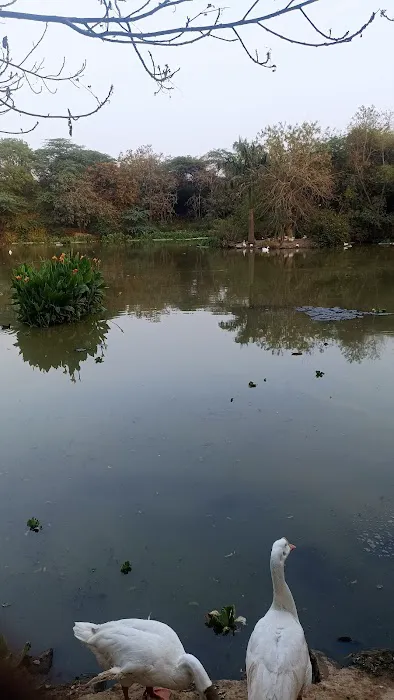 Sanjay Van - Gate number 5 - 5