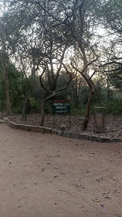 Sanjay Van - Gate number 5 - 8