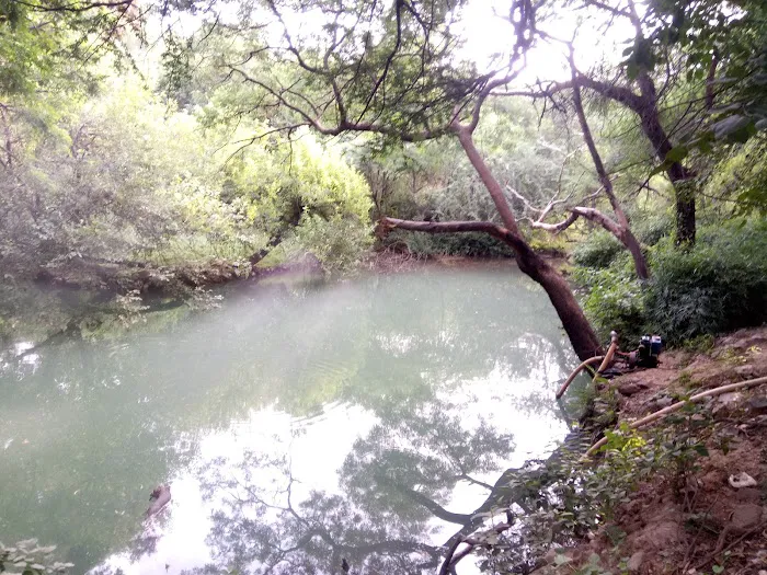 Reserve Forest Mehrauli Ridge - 1