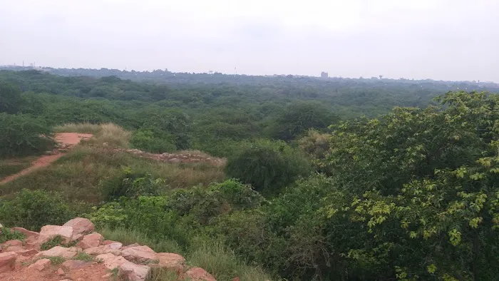 Reserve Forest Mehrauli Ridge - 0