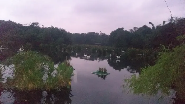 Reserve Forest Mehrauli Ridge - 2