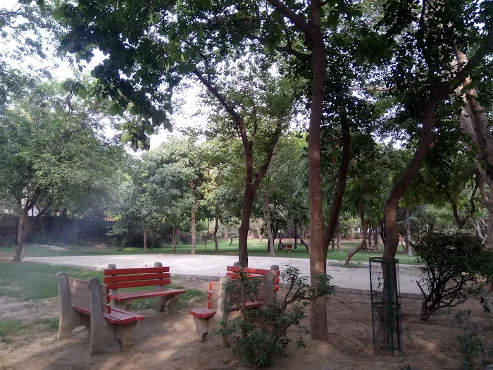 Reserve Forest Mehrauli Ridge - 4