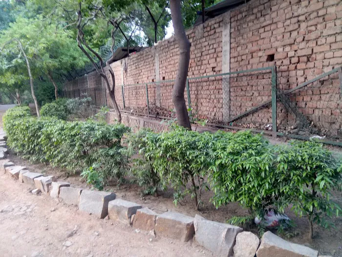 Reserve Forest Mehrauli Ridge - 8