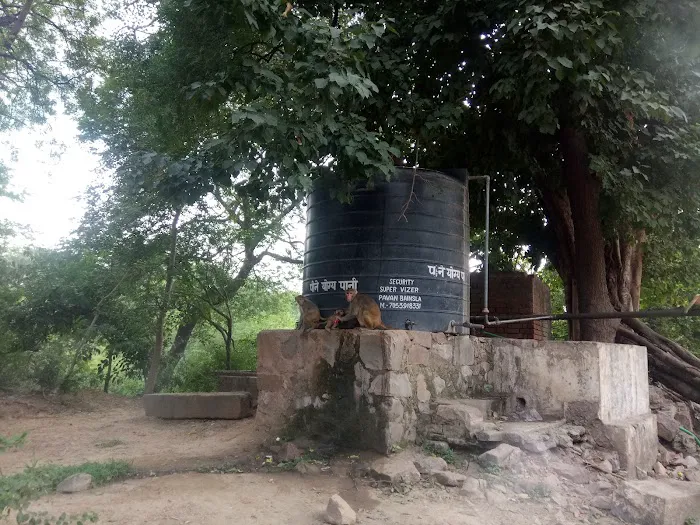 Reserve Forest Mehrauli Ridge - 9