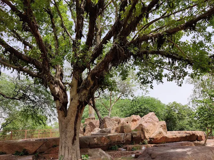 Mehrauli Complex Park Phase 2 - 4