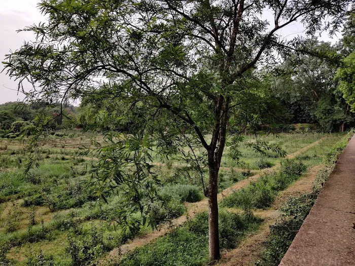 Mehrauli Complex Park Phase 2 - 3