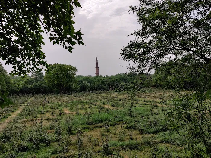 Mehrauli Complex Park Phase 2 - 2