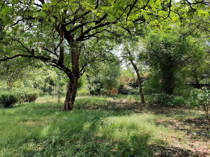 Mehrauli Complex Park Phase 2 - 8