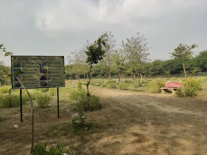 Medicinal Plantation - 0